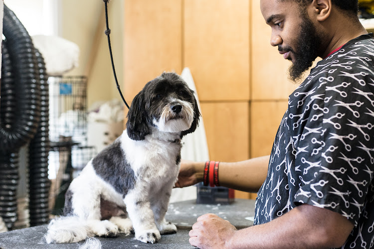 City Dogs 18th Street NW