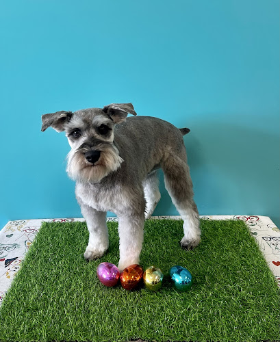 Classy Bitches Doggie Spaw LLC