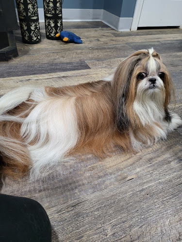 Claudia's Furry Tailz Pet SPA, LLC