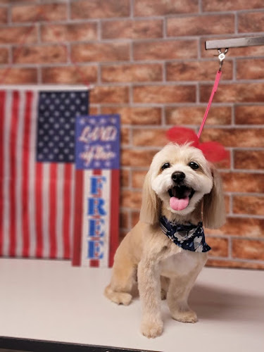 Clippendale’s Dog Grooming LLC