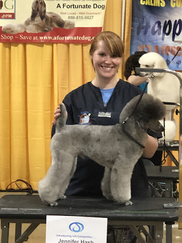 Clippity Doo Dog Grooming Salon