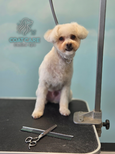 Coat Care Canine Spa