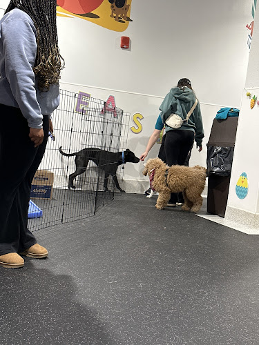 Colby's Dogcare and Spa