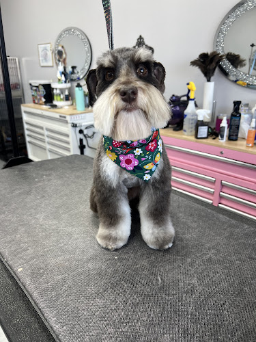 Color Me Pink Grooming by Serena