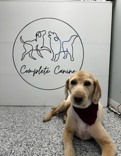 Complete Canine
