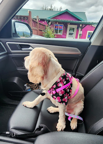 Connie's Pet Peeves Grooming And Boarding