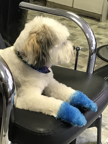 Conquer Bad Fur Day LLC