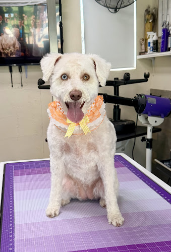 Coop's Place Grooming