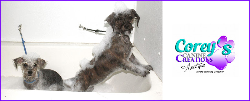 Corey's Canine Creations