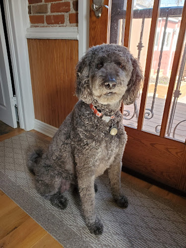 Country Cottage Grooming