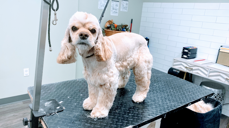 Country Junction grooming