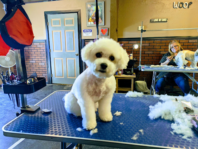 Country K-9 Grooming LLC