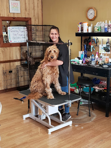Country Puppy Dog Grooming