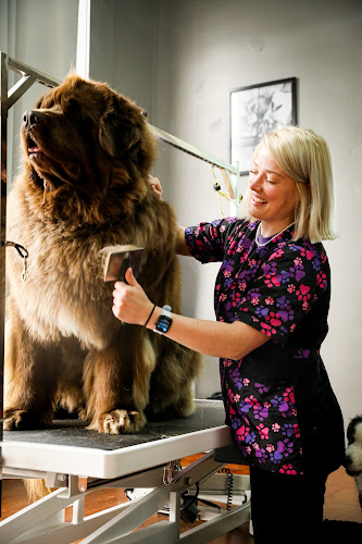 Countryside Pet Grooming