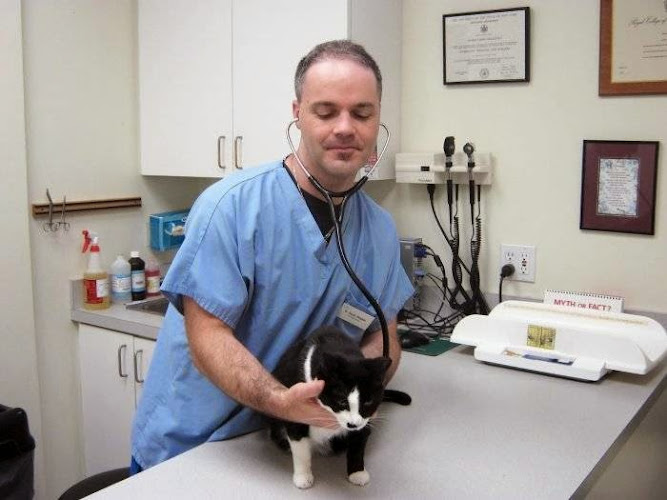 County Animal Clinic