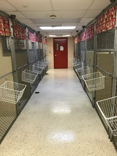 Cozy Quarters Pet Inn