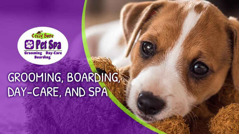 Crazy Bone Pet Resort