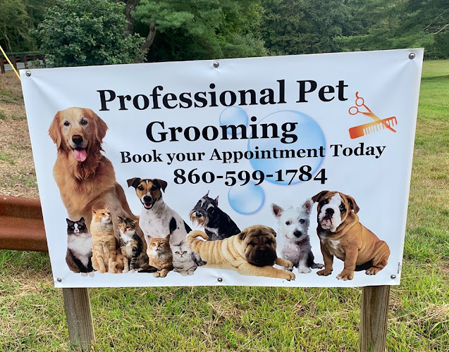 Creature Comforts Animal Inn