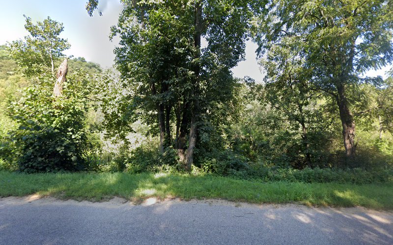 Creature Comforts Kennel