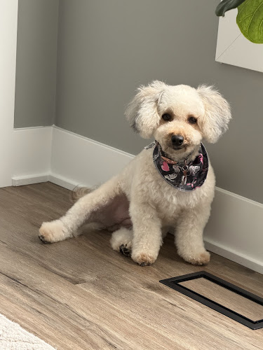 Cris' Cats and Canines