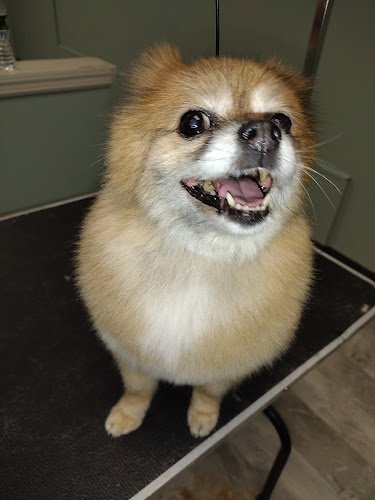 Cuddlesudz Pet Salon