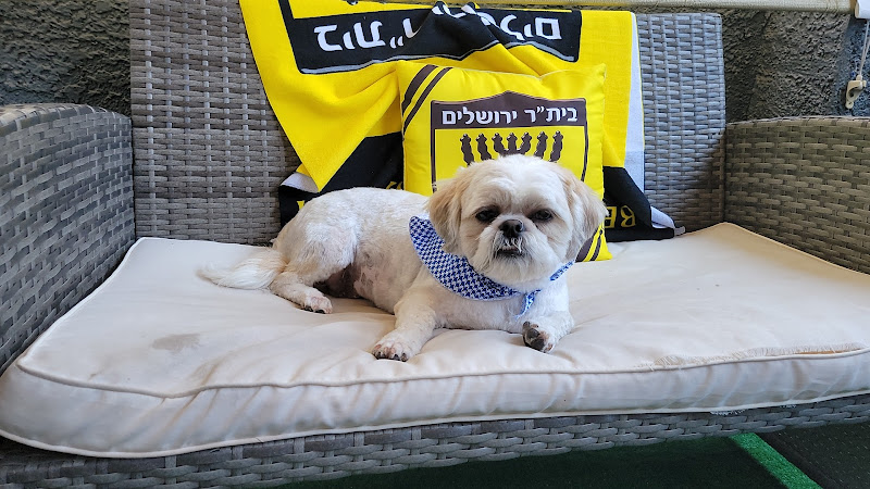 Custom Clips Pet Grooming