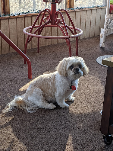 Cut Above Grooming Salon LLC