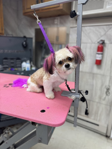 Cutie Pawz Of Poconoz