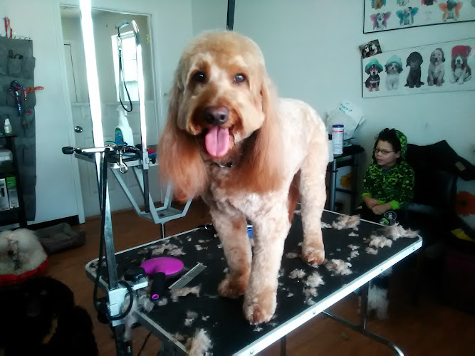 Cutright's Pet Salon