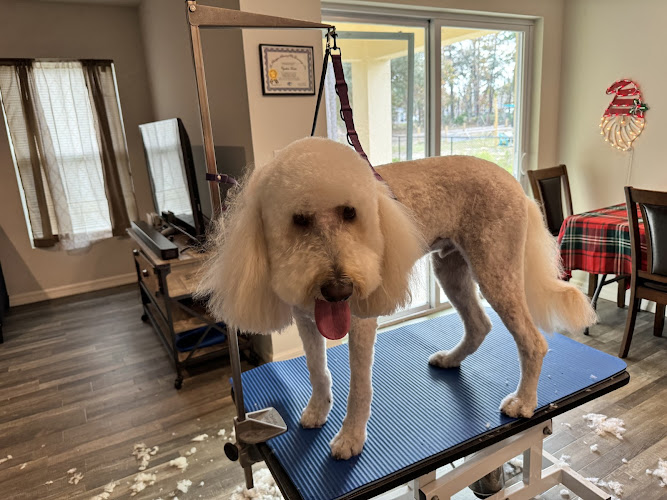 Cynthia’s House of Fur LLC