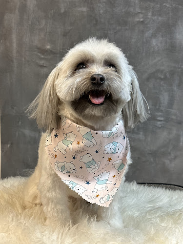 Dalila’s Pet Grooming