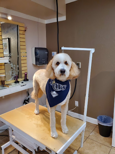 Dandy's Pet Grooming Inc.