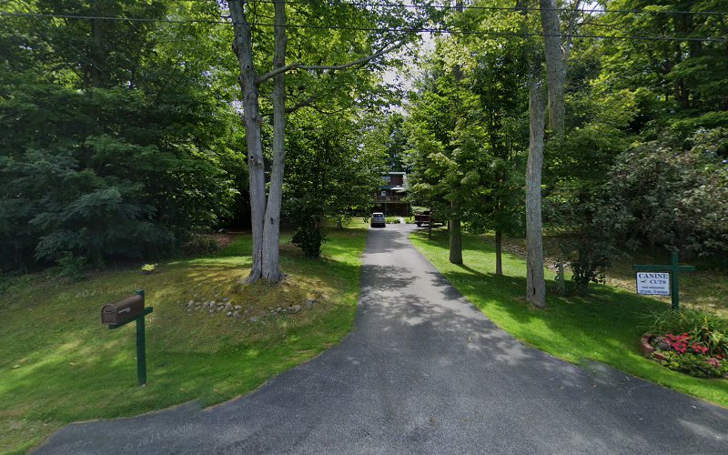 Dara's Canine Cuts Dog Grooming