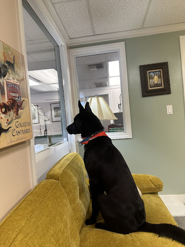 Dash Pet Pawlor - Uptown Whittier