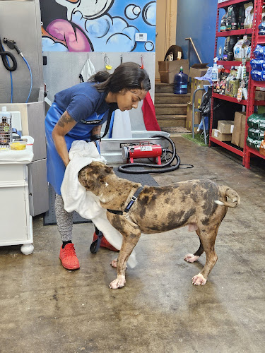 Dawg Team Apparel USA