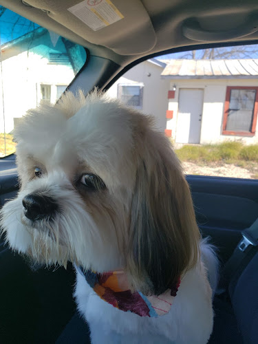 Debbie's Dog Grooming