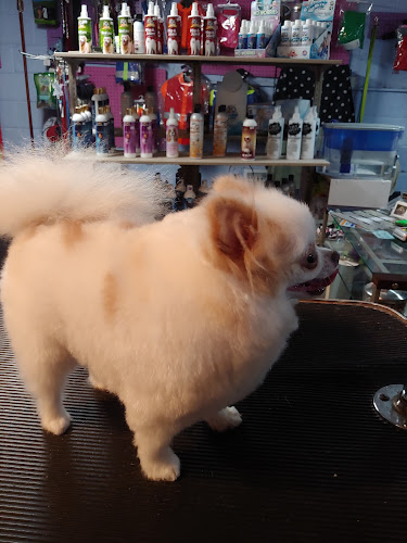 Debie’s Pet Grooming