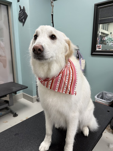 Dee-O-Gee BZN @ 19th & Oak