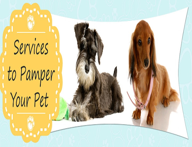 Dee's Dog Grooming, LLC