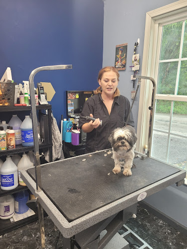 Defuzzers Pet Grooming