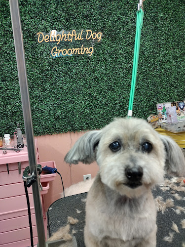 Delightful Dog grooming
