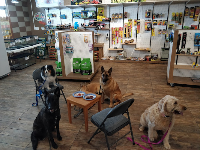 Desert Dog Pet Store