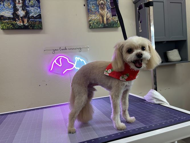 Desert Dogz Day Spa LLC