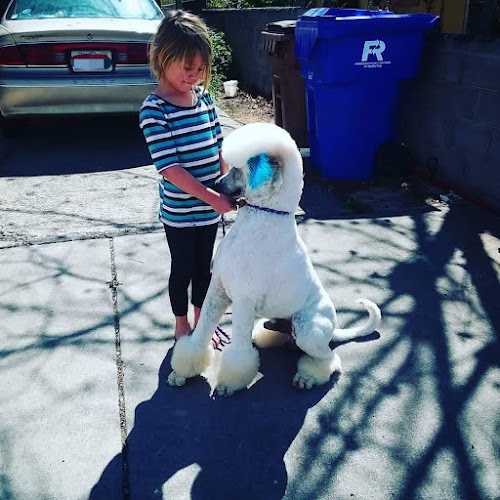 Desert Sun Pet Styling,LLC