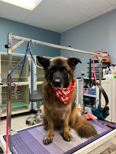 Desmoiselle Grooming