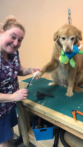 Devils to Angels Dog Grooming