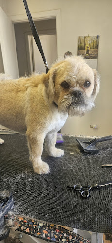 Dez's Divine Canines