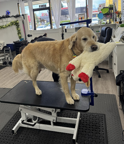 Diamond Dogs Grooming