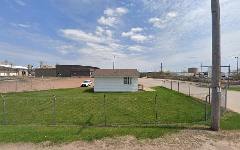 Diamond in the Ruff Dog Grooming LLC