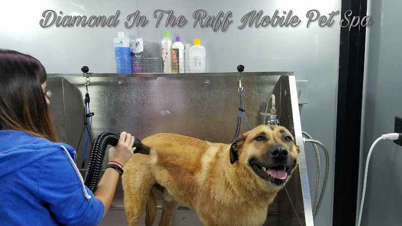 Diamond In The Ruff Mobile Pet Spa